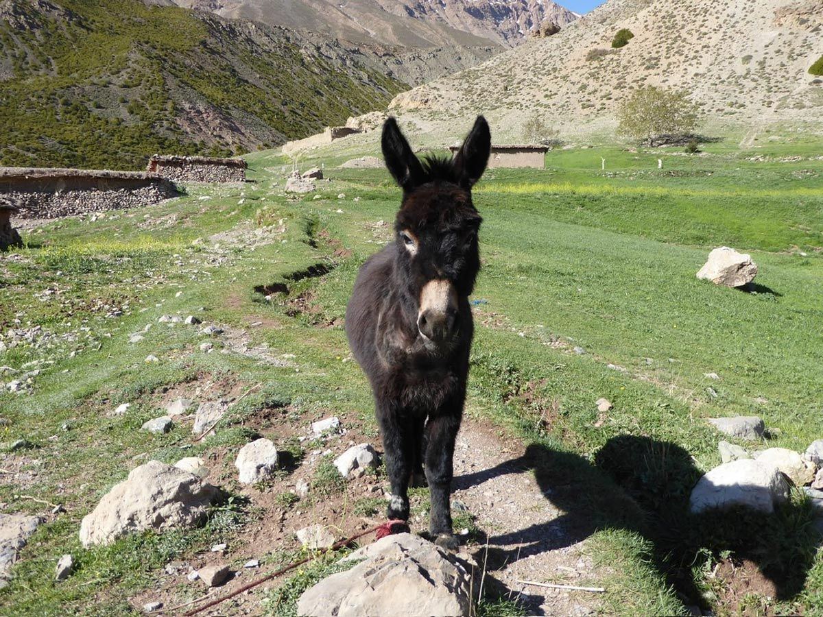 Omgeving Gîte La Tulipe d'Ikiss | © Tamazirt Reizen