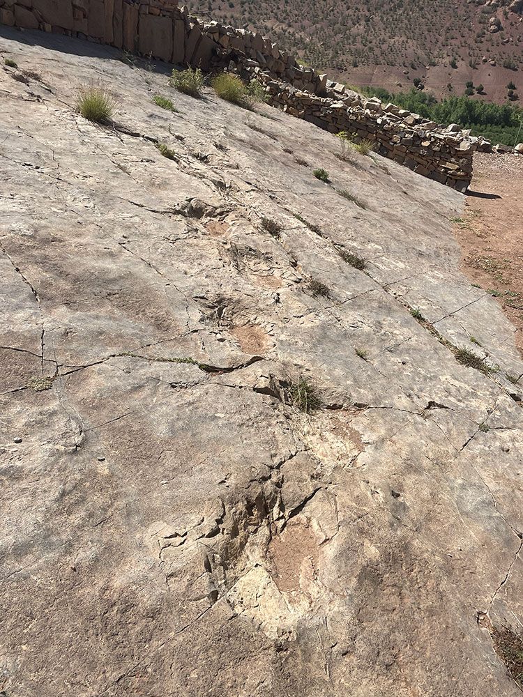 Omgeving Gîte d'Étape Tamazirt | © Tamazirt Reizen