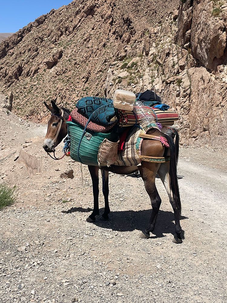 Omgeving Gîte La Tulipe d'Ikiss | © Tamazirt Reizen
