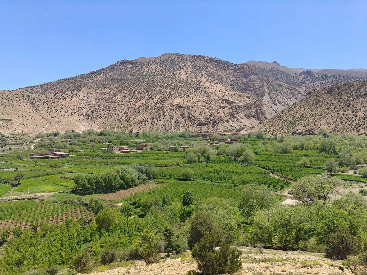 Omgeving Gîte d'Étape Tamazirt | © Tamazirt Reizen